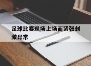 半岛体育在线网站-足球比赛现场上场面紧张刺激异常